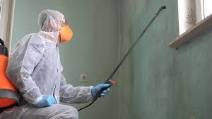 Mold Remediation for Rental Properties in Casa Blanca, AZ